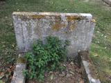 image of grave number 146574